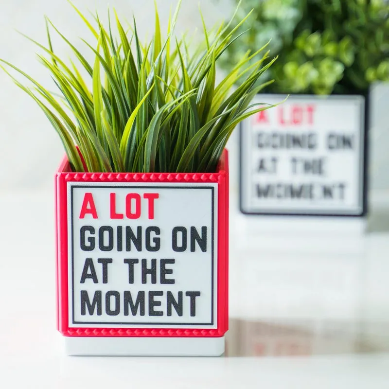 A Lot Going On planter and matching tray sign on a bright shelf