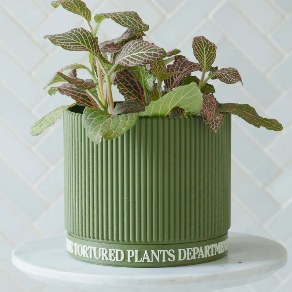 Sage green ribbed planter on a marble stand